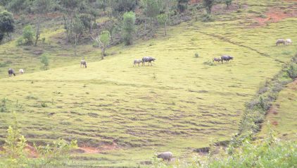 Explore The Original Charms Of North Vietnam (7)