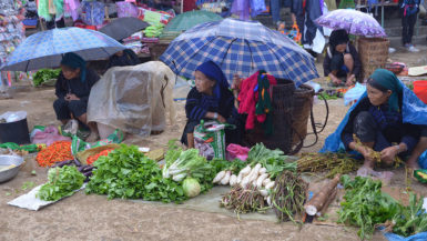 Explore The Original Charms Of North Vietnam (9)