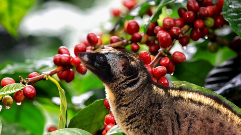 3-Days-2-Nights-Delightful-Da-Lat-from-Nha-Trang-4