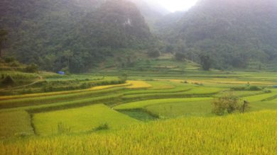 BA-BE-LAKE-EXPLORATION-2-DAYS-FROM-HANOI-INCLUDING-BOAT-TRIP-AND-CYCLING