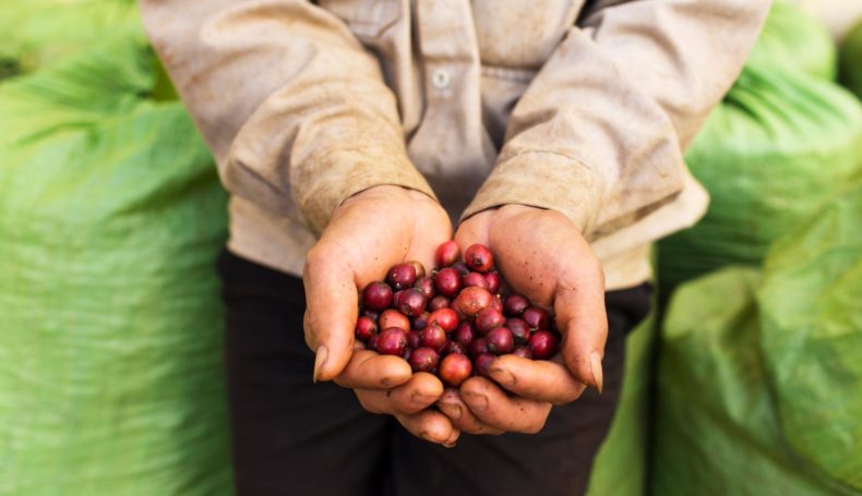 COFFEE-TOUR-&-WATERFALL-IN-BUON-MA-THUOC-2