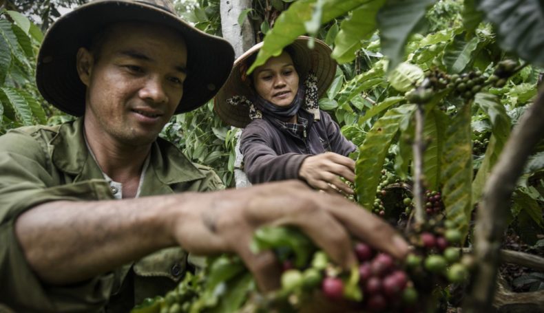 COFFEE-TOUR-&-WATERFALL-IN-BUON-MA-THUOC-3