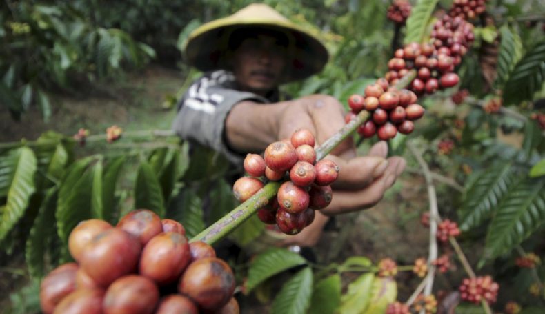 COFFEE-TOUR-&-WATERFALL-IN-BUON-MA-THUOC