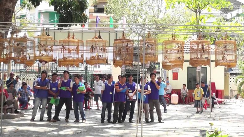 Good-Morning-Saigon-by-Jeep-Hoi-chim-tao-dan