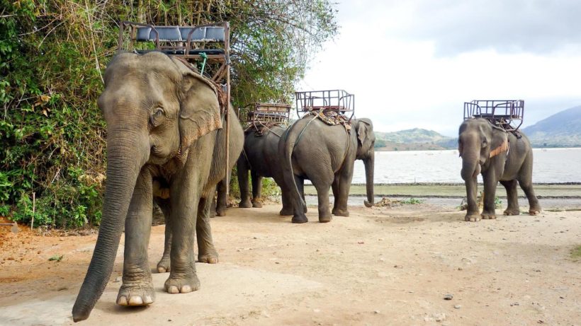 PLEIKU-CITY-TOUR---BANAR-ETHNIC-VILLAGES