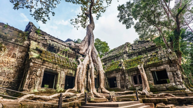 explore-the-timeless-charms-of-cambodia-ta-prohm-temple